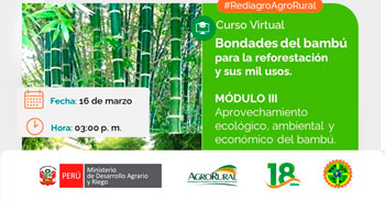  Charla online gratis "Aprovechamiento Ecológico, ambiental y económico del bambú" de Agro Rural