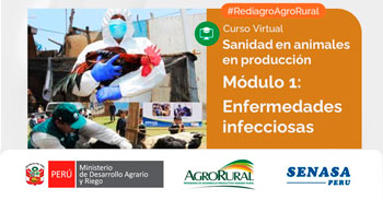  Charla online gratis "Experiencias de semillas forrajeras" de Agro Rural