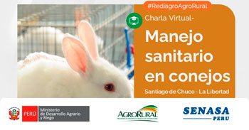 Charla online gratis "Manejo sanitario en conejos" de Agro Rural