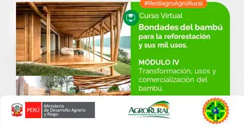 Curso Bondades del bambú para la reforestación y los mil usos: Aprovechamiento, transformación, usos y comercialización