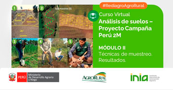  Curso online gratis "Aprovechamiento Ecológico, ambiental y económico del bambú" de Agro Rural
