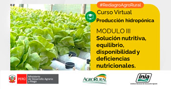 Curso online gratis Producción hidropónica: Solución nutritiva, equilibrio, disponibilidad y deficiencias nutricionales