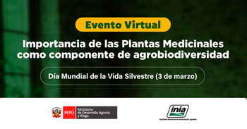  Evento online "Importancia de las plantas medicinales como componente de la agrobiodiversidad" del INIA