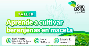  Taller presencial "Aprende a cultivar berenjenas en maceta" de la Municipalidad De San Borja