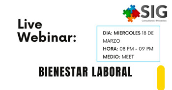  Webinar online "Bienestar laboral" de SIG Consultoria y Proyectos