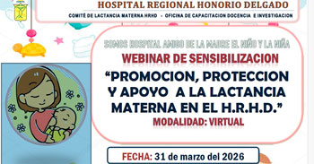  Webinar virtual  "Promoción, protección y apoyo a la lactancia materna en el H.R.H.D." del MINSA