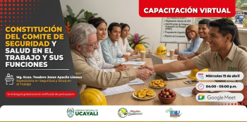  Capacitación online gratis Constitución del Comité de Seguridad y Salud en el Trabajo y sus Funciones