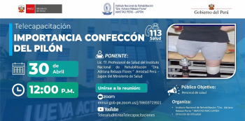 Capacitación online gratis - "Importancia Confección del Pilón" Instituto Nacional de Rehabilitación