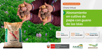 Charla virtual - "Abonamiento de cultivo de papa con guano de las islas" Agro Rural
