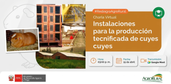  Charla virtual - "Instalaciones para la producción tecnificada de cuyes" Agro Rural