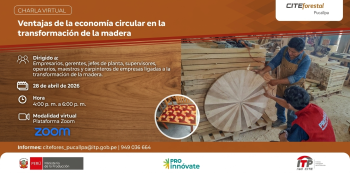  Charla online - "Ventajas de la economía circular en la transformación de la madera" CITEforestal Pucallpa