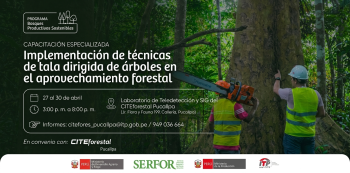  Curso presencial - "Implementación de técnicas de tala dirigida de árboles en el aprovechamiento forestal" 