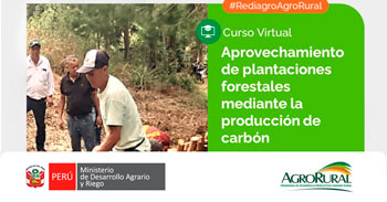 Curso virtual - "Manejo y aprovechamiento de plantaciones forestales mediante la fabricación de carbón"