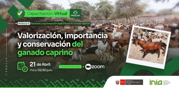  Curso virtual gratuito - "Valorización, importancia y conservación del ganado caprino" INIA