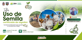  Taller presencial - "Semillas certificadas de algodón y acceso a mercados con precios diferenciados" 