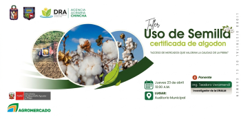  Taller presencial - "Uso de semilla certificada de algodón" Agromercado