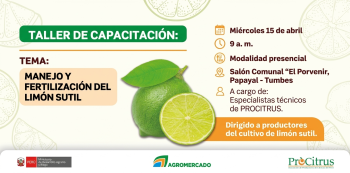  Taller Presencial - "Manejo y fertilización del limón sutil" Agromercado 