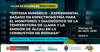  Taller online "Monitoreo espectrométrico de temperatura de llama y álcali en combustión de biomasa" 