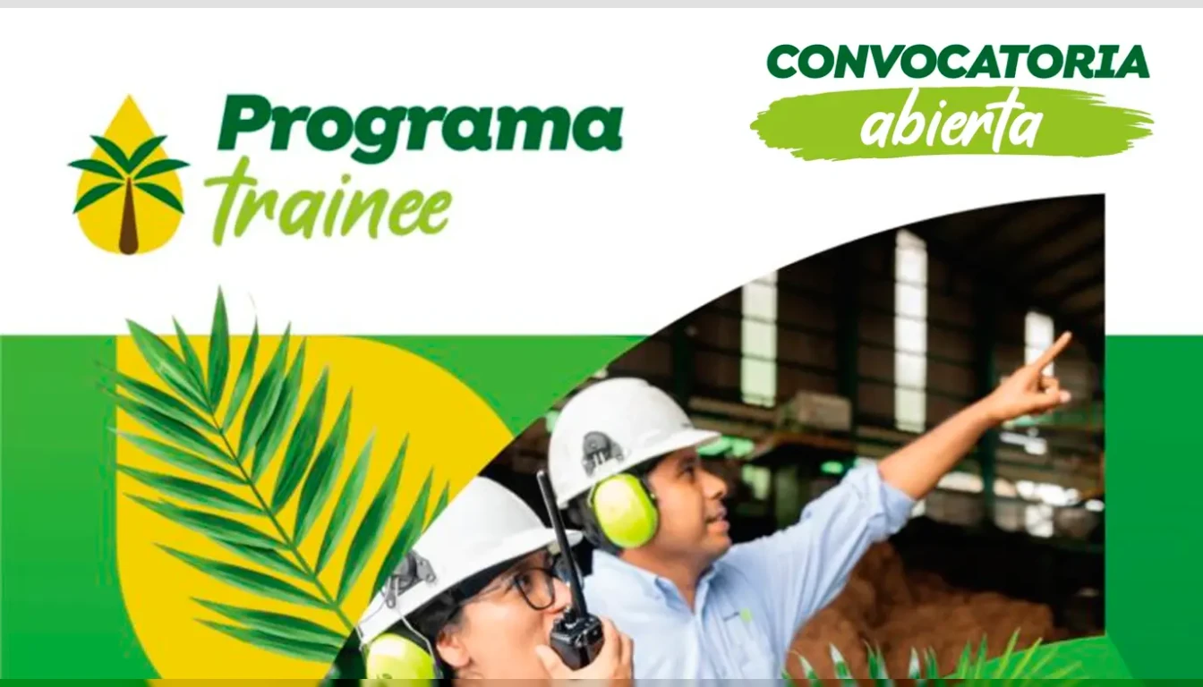 Programa Trainee 2026 | Grupo Palmas