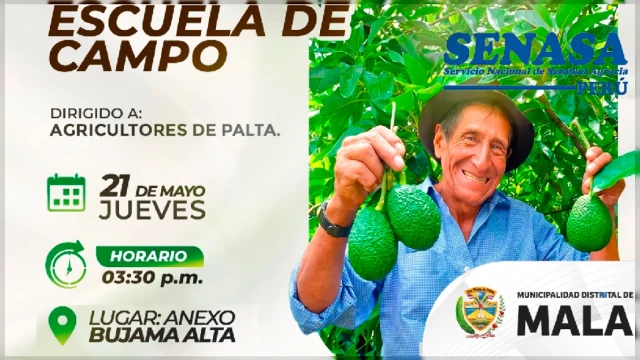  Capacitación dirigida a productores de palta de nuestro distrito. Municipalidad Distrital de Mala