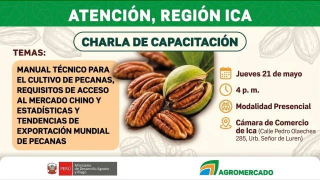  Capacitacion presencial - "Mercado de pecanas: cultivo y acceso al mercado chino" Agromercado