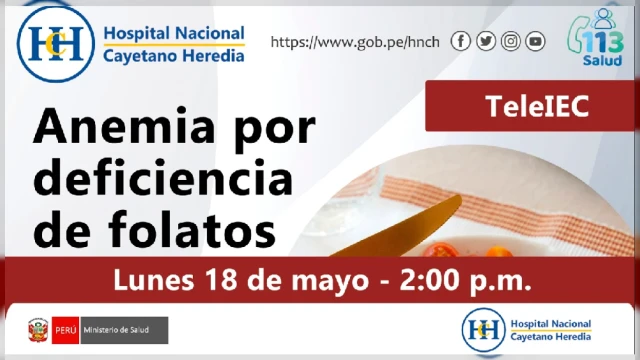 Capacitacion virtual - "La deficiencia de folatos y su relación con la anemia" MINSA