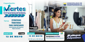  Capacitacion online - Estrategias tributarias para empresarios - (menos impuestos, más ganancias y mejores inversiones)