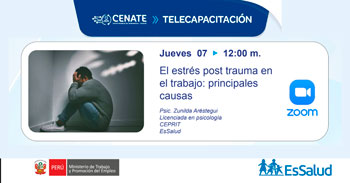 Capacitación online  "El estrés post trauma en el trabajo: principales causas" de EsSalud