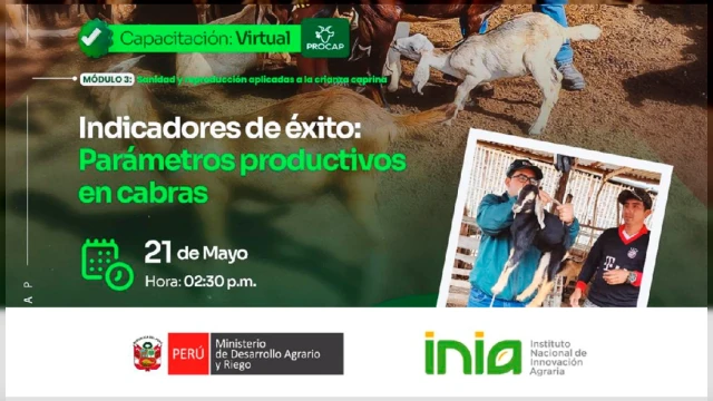  Capacitación virtual - "Indicadores de éxito: Parámetros productivos en cabras" INIA