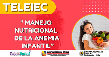 Capacitación online - "Manejo Nutricional de la Anemia Infantil" Hospital Regional de Huacho