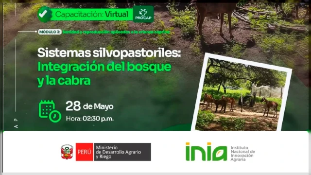  Capacitación virtual - "Sistemas silvopastoriles: Integración del bosque y la cabra" INIA