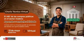  Charla online gratis - "El ABC de las compras públicas en el sector madera" CITEmadera