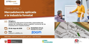  Charla virtual - "Mercadotecnia aplicada a la industria forestal" CITEforestal Pucallpa
