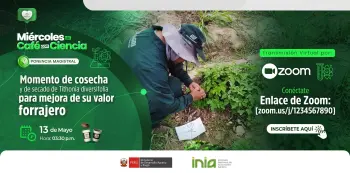  Charla VIRTUAL - "Momento de cosecha y de secado de Tithonia diversifolia para mejora de su valor forrajero." 