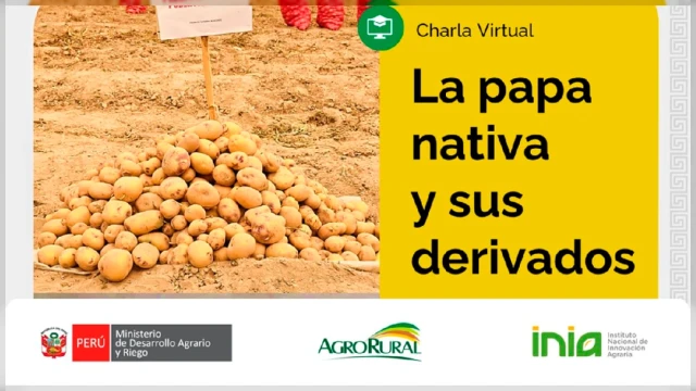 Charla virtual - "La papa nativa y sus derivados" Agro Rural
