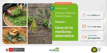  Charla virtual - "Plantas Nativas Medicinales: Módulo I. Usos en la medicina alternativa" Agro Rural (MIDAGRI)
