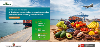  Conferencia virtual - "Articulación comercial de productos agrarios a los mercados" Agro Rural (MIDAGRI)
