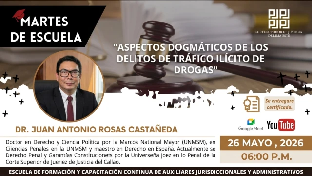  Conferencia online - "Aspectos dogmáticos de los delitos de tráfico ilícito de drogas" 