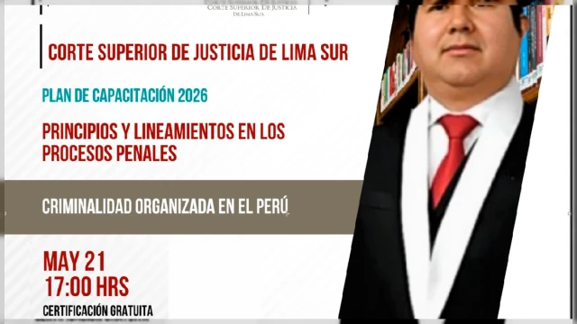  Conferencia online - "Principios y lineamientos en los procesos penales (Criminalidad Organizada en el Perú)"