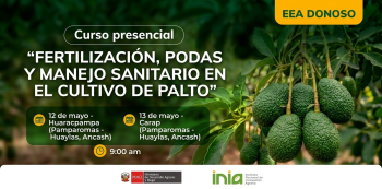  Curso presencial - "Fertilización, poda y manejo sanitario en el cultivo de palto" INIA
