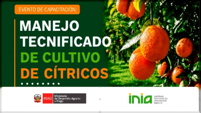  Curso presencial - "Manejo Tecnificado del Cultivo de Cítricos" INIA