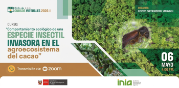  Curso virtual "Comportamiento ecológico de una especie insectil invasora en el agroecosistema del cacao”" INIA