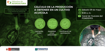 Curso online gratis  "Cálculo de la producción a obtener en un cultivo acuícola"  (FONDEPES)