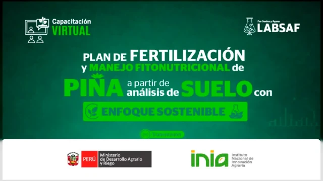  Curso virtual Plan de fertilización y manejo fitonutricional de piña Golden a partir de un análisis de suelo