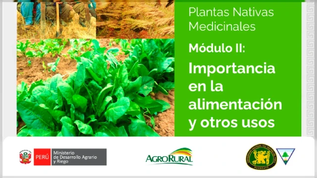  Curso virtual - "Plantas Nativas Medicinales" Agro Rural 