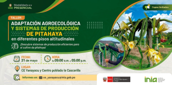  Taller Presencial Adaptación agroecológica y sistemas de producción de pitahaya en diferentes pisos altitudinales