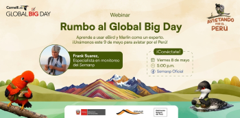 Webinar online - "Rumbo al Global Big Day" SERNANP