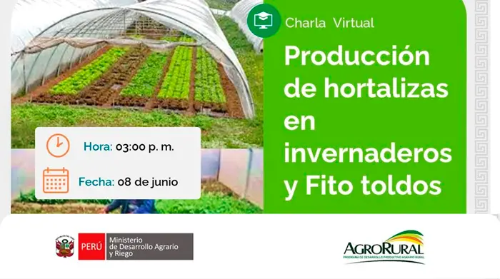  Charla virtual - "Producción de hortalizas en invernaderos y Fito toldos" Agro Rural