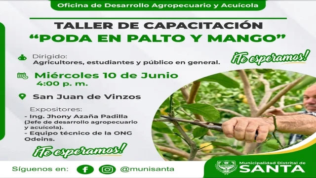 Capacitación presencial - "Poda en palto y mango" Municipalidad Distrital de Santa