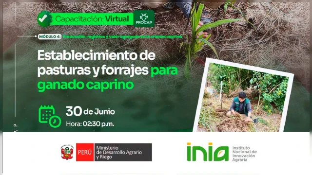 CAPACITACION